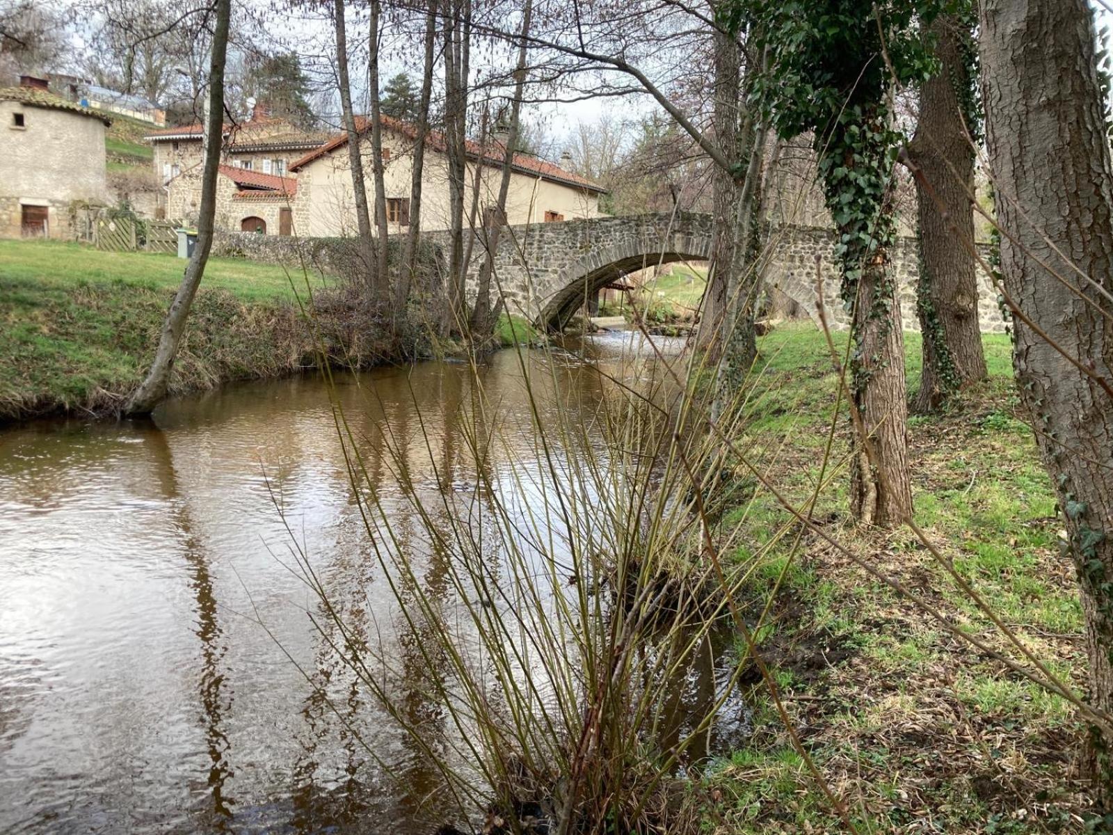 Jolie Maison De Campagne, Compostelle Villa Soleymieux Exterior photo